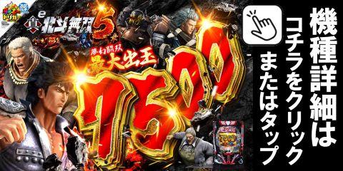 e真北斗無双5夢幻闘双SCEA